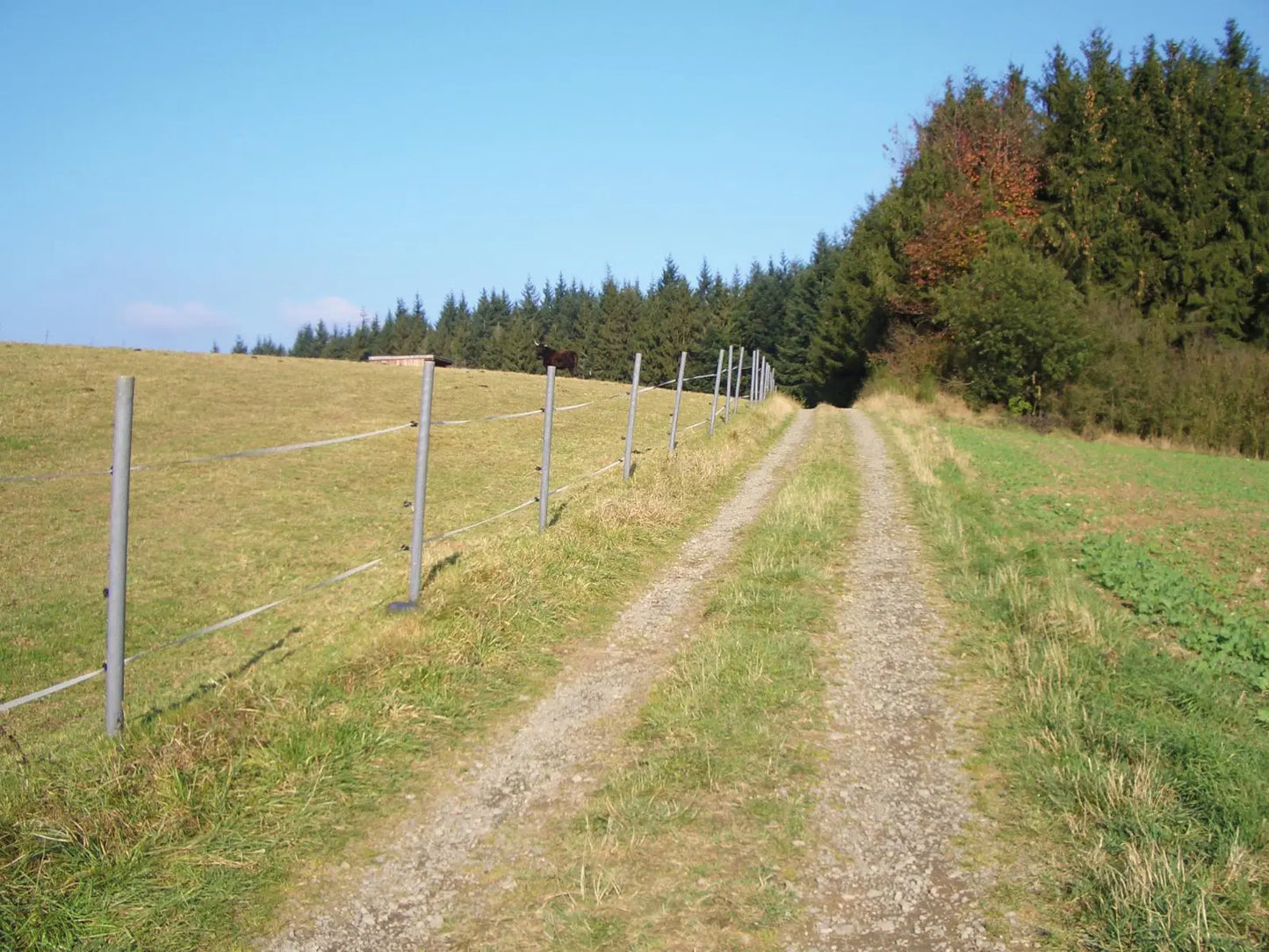 Rundpfosten aus Kunststoff Horses Home