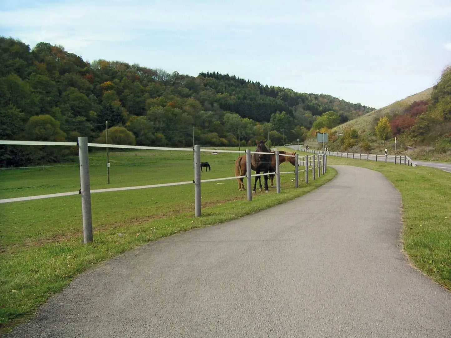 Rundpfosten aus Kunststoff Horses Home