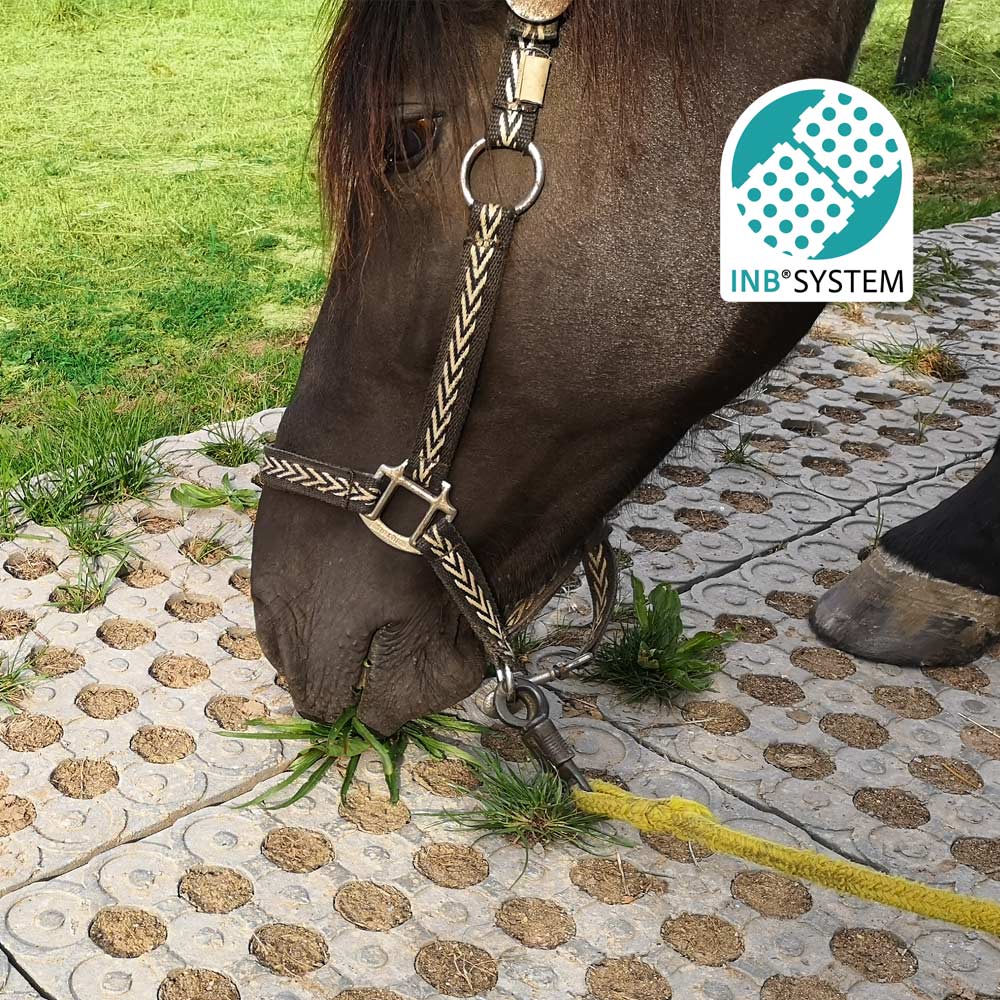 INB® Systemplatte 1m² - Pferd