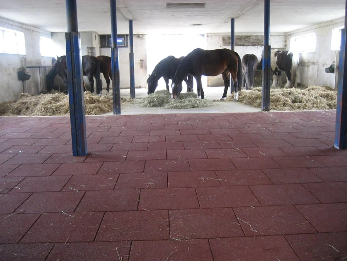 INB® Softmatte mit Verbinder Horses Home