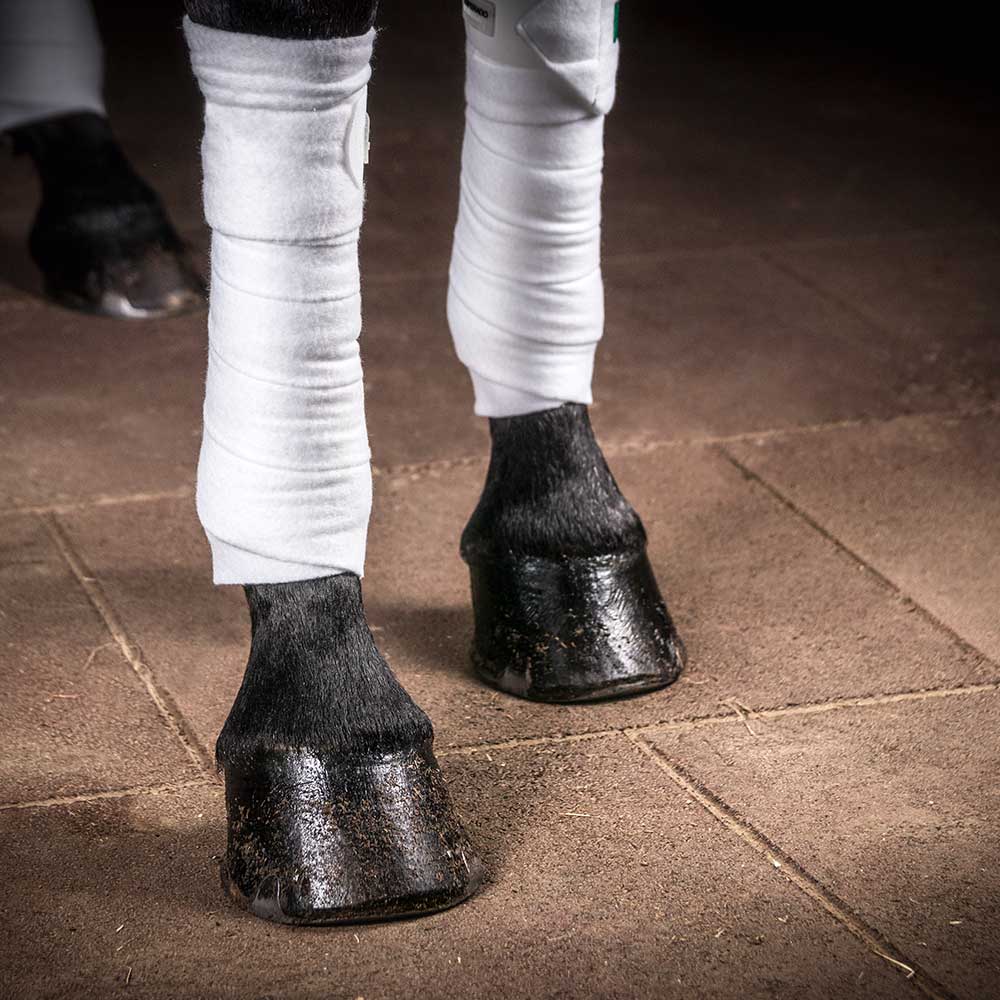 INB® Softmatte mit Verbinder Horses Home