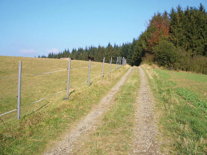 Rundpfosten aus Kunststoff Horses Home