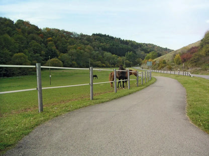Rundpfosten aus Kunststoff Horses Home