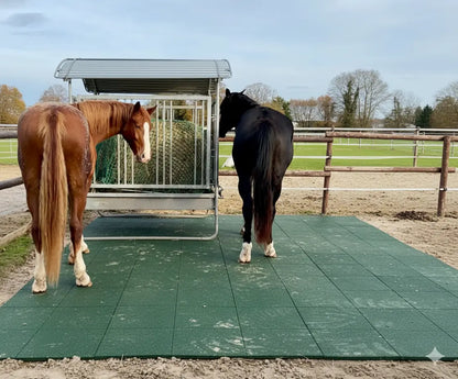 INB® Softmatte Outdoor Horses Home