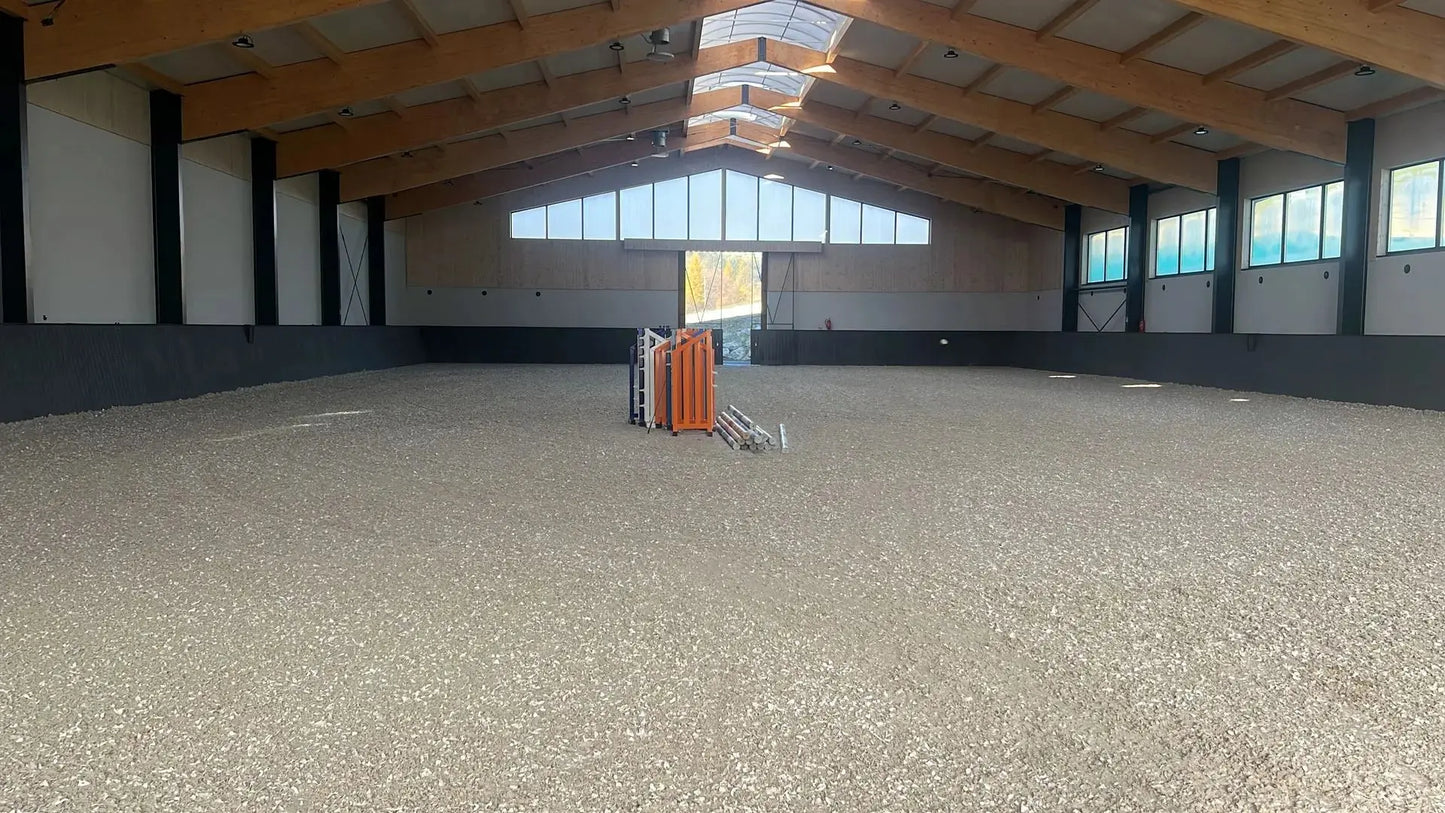 INB Reit- & Bewegungsplatzplatte Horses Home