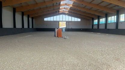 INB Reit- & Bewegungsplatzplatte Horses Home